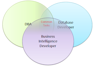 A DBA or a Database Developer? (Article on SQLNetHub)