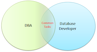 A DBA or a Database Developer? (Article on SQLNetHub)