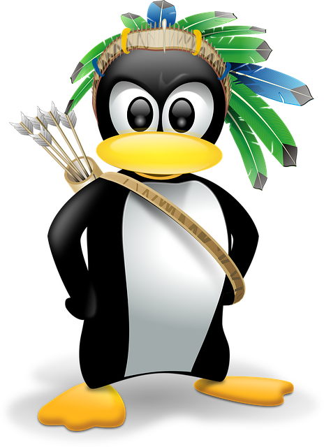 Getting Started with SQL Server on Linux - Article on SQLNetHub