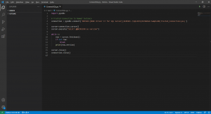 How to Connect to SQL Server Databases from a Python Program - SQLNetHub