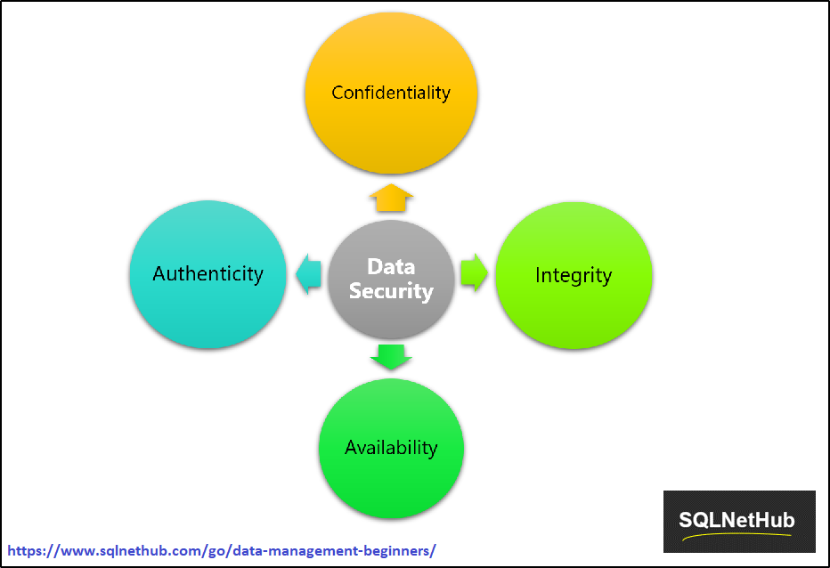 Data Security Infographic on SQLNetHub